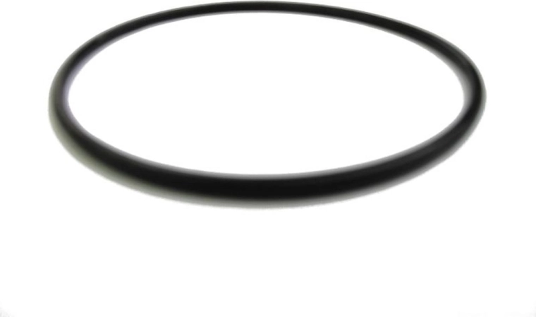 Marimex filter tank lid seal ProStar