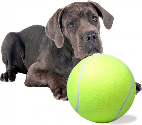 Giant Tennis Ball for Dogs XXL 24 cm