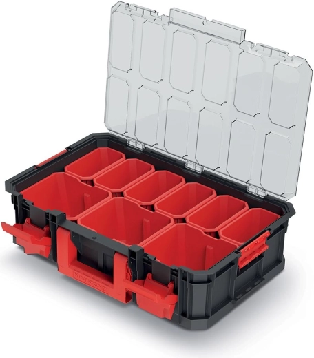 Clear organizer with removable compartments