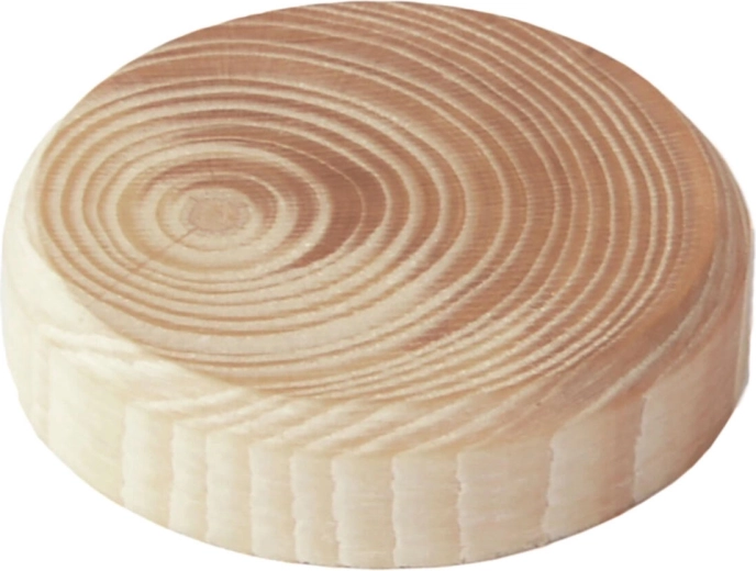 Leseni čepki z vej 15 × 7 mm, 40 kos