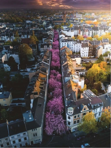 Ravensburger puzzle 1500 pieces Bonn, Germany