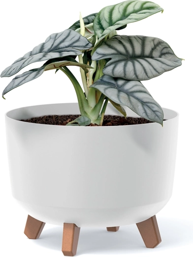 Léger et facile à transporter