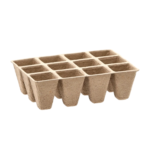 Pianta direttamente nel terreno senza danneggiare le radici