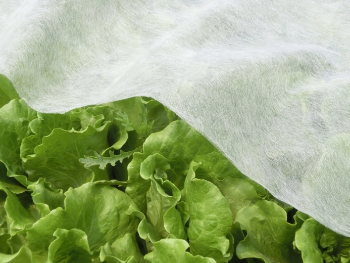 Structure respirante pour une croissance saine
