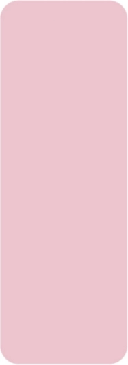 Niimbot thermal labels 14 × 40 mm, 160 pcs – Pink