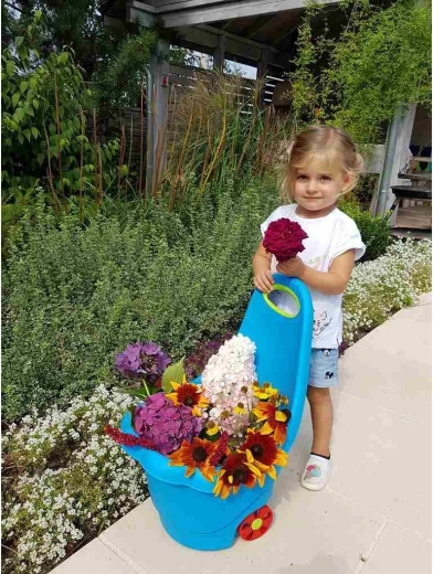 Jeu et aide au jardin