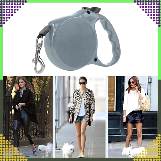 Smooth retraction and quick lock