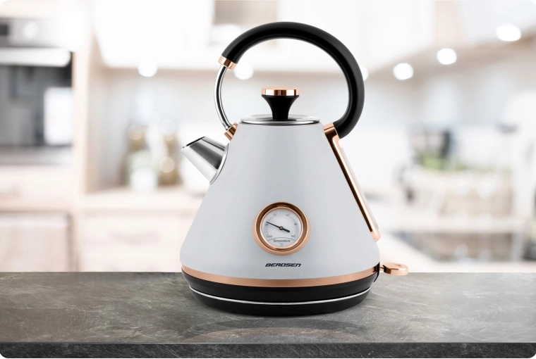 Corps métallique, couvercle amovible et filtre anti-calcaire