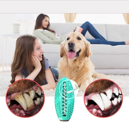 Dental care with every bite
