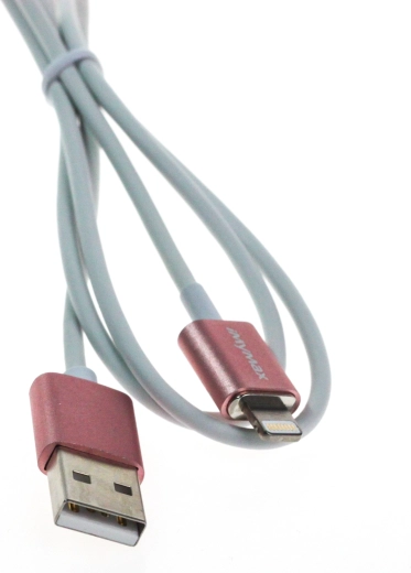 Charge rapide 2,1 A et transfert de données