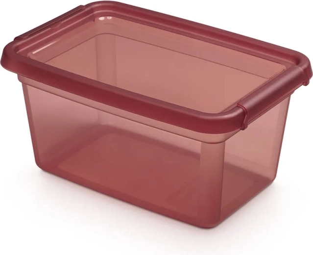 Basestore boîte de rangement avec couvercle et clips 4,5 l rhubarb