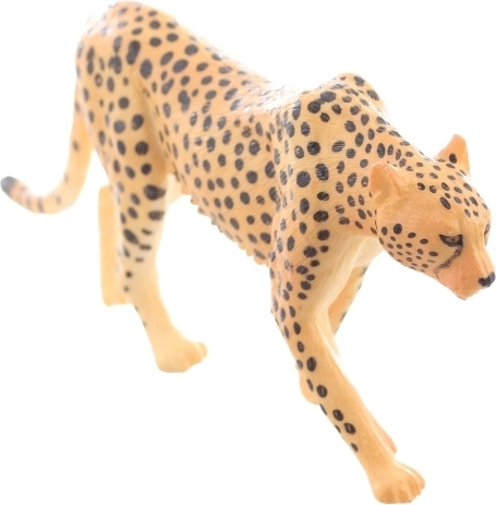 Ideale per apprendimento e collezione