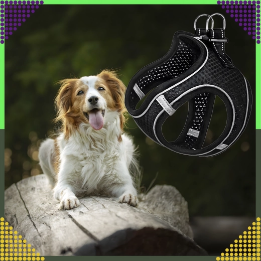 High visibility thanks to reflective elements