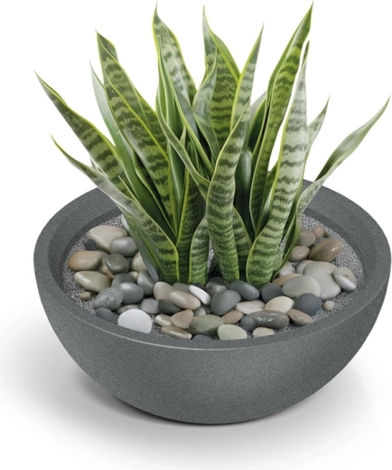 Smart drainage valve for healthy roots