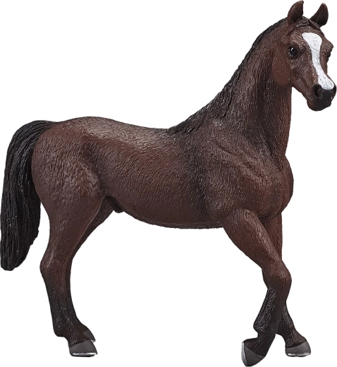 Mojo stallone arabo