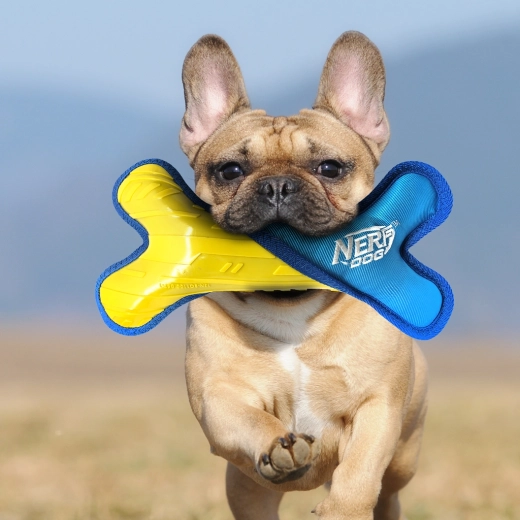 Hohe Sichtbarkeit für Spiele im Freien