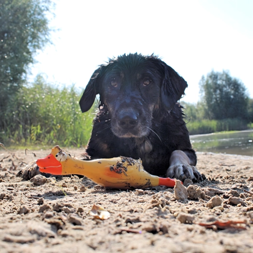 Bright yellow color for easy tracking