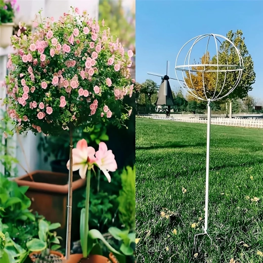 Supporto stabile per una crescita sana e verticale