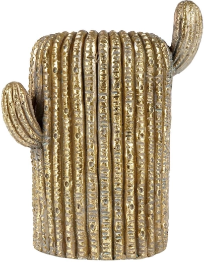 Realistic cactus texture