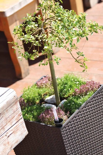 Insert intérieur pratique pour une plantation rapide