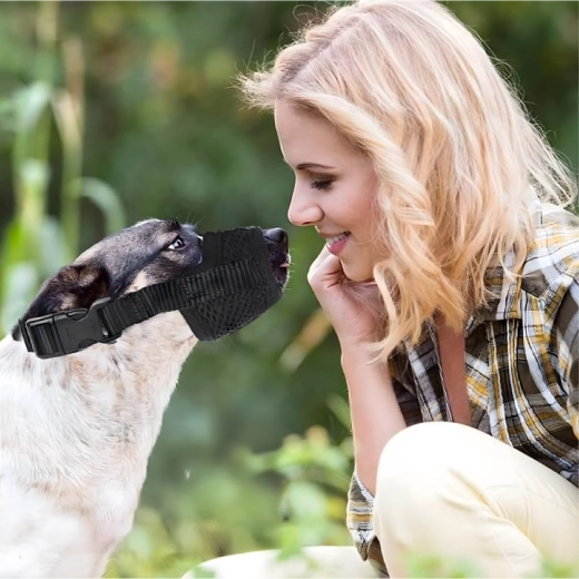 Safety during training and at the vet