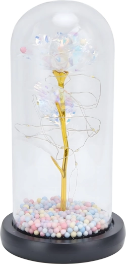 Schützende und zugleich schmückende Glaskuppel