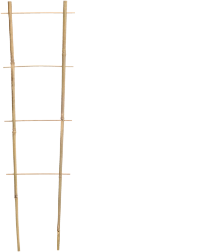 Tuteur en bambou pour plantes grimpantes 75 × 35 cm, diamètre 10/12 mm