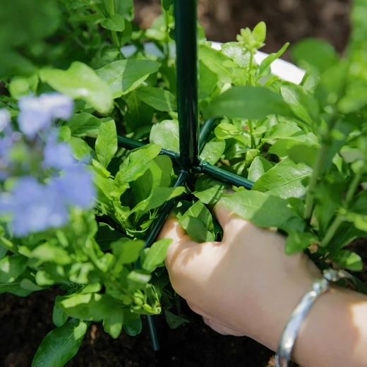 Supporto stabile per una crescita sana