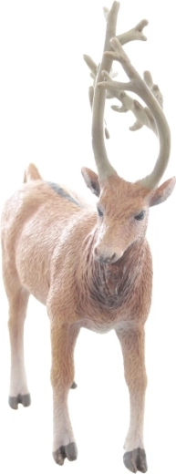 Dimensione ideale per le piccole mani