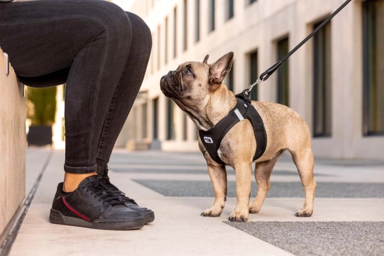 Safer walks thanks to reflective elements