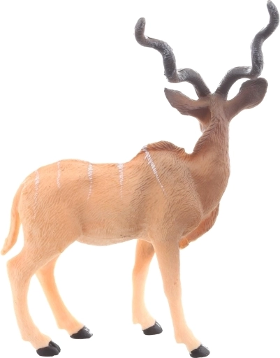 Ottima per apprendere e collezionare