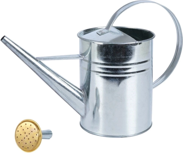 Gentle spray with removable rose