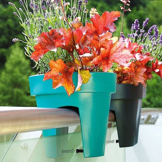 Gain de place et belle présentation