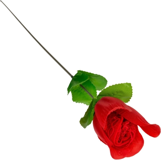 A gift that delights