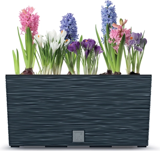 Idéale pour fenêtres et balcons