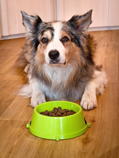 Vhodná na vodu aj krmivo