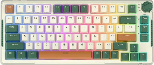 Tastiera meccanica wireless Royal Kludge RKH81 RGB con switch Sky Cyan