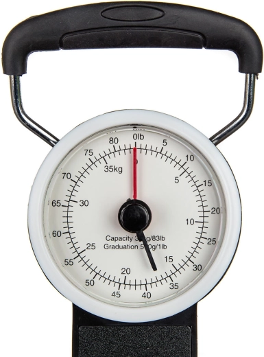 Dual measurement: kilograms and pounds