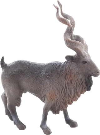 Plastica resistente per il gioco quotidiano