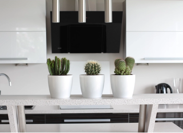 Idéal pour les intérieurs modernes