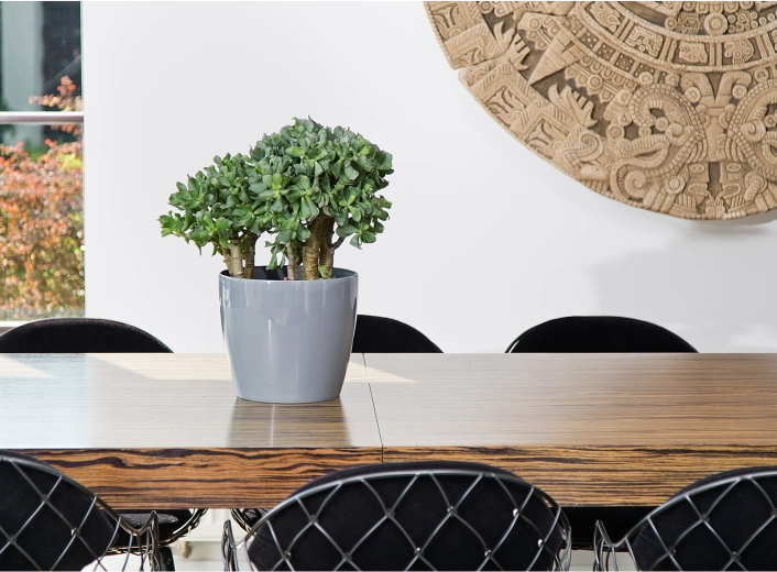 Aspect élégant façon céramique