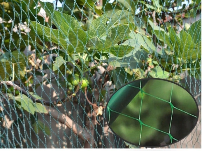 Utilisation universelle pour plates-bandes et arbres