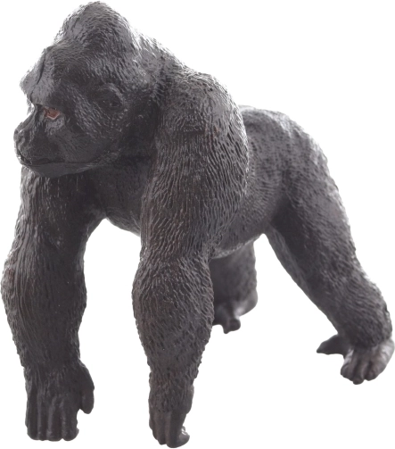 Dimensione ideale per piccole mani