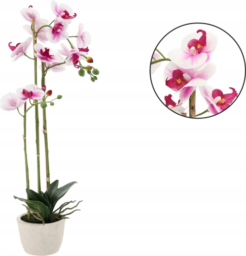 Aucun souci d’entretien