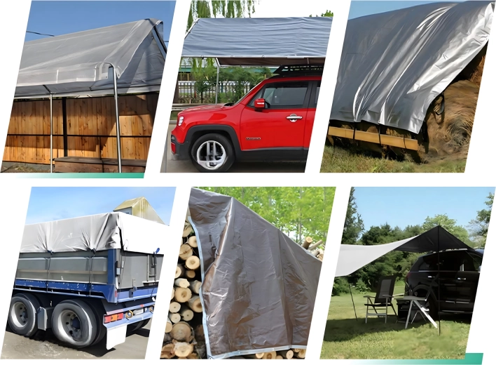 Utilisation universelle à la maison et en extérieur