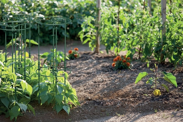 Résistant et discret dans le massif