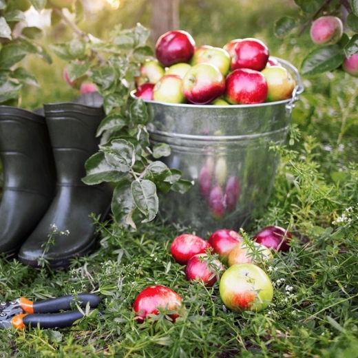 Wide use at home and in the garden