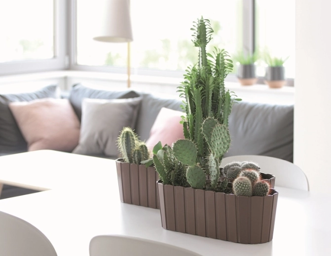 Idéale pour herbes, succulentes et fleurs