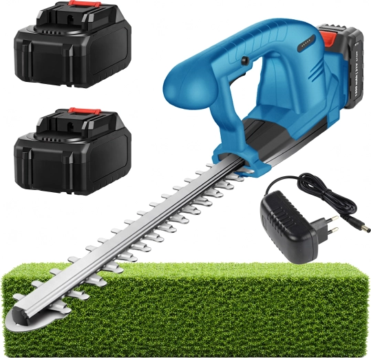 Set con 2 batterie e caricabatterie