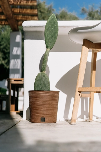 Pour l’intérieur et l’extérieur